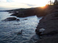 100_1645.jpg